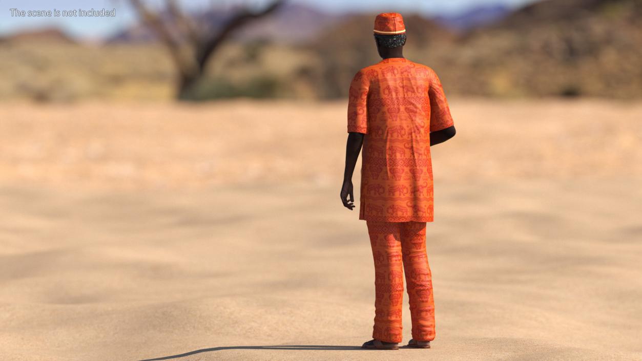 3D Afro American Man Traditional Style Rigged for Maya