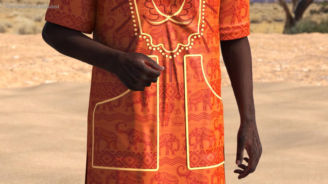 3D Afro American Man Traditional Style Rigged for Maya