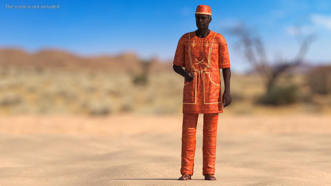 3D Afro American Man Traditional Style Rigged for Maya