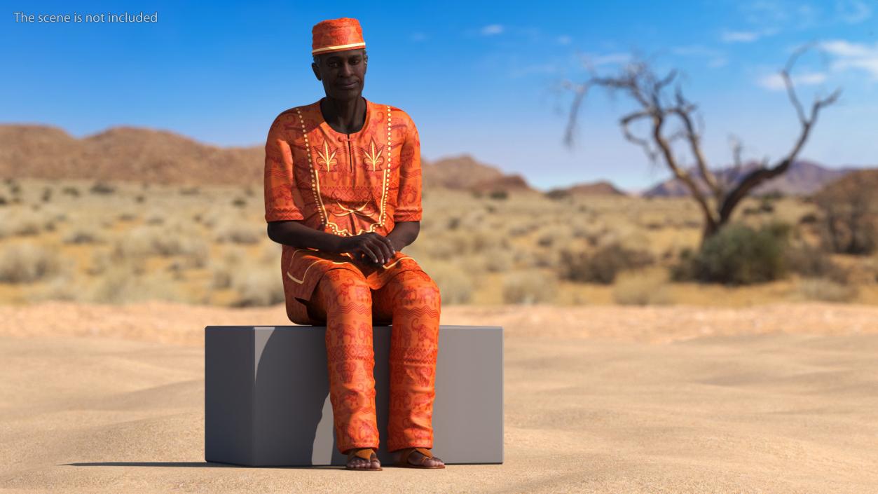 3D Afro American Man Traditional Style Rigged for Maya