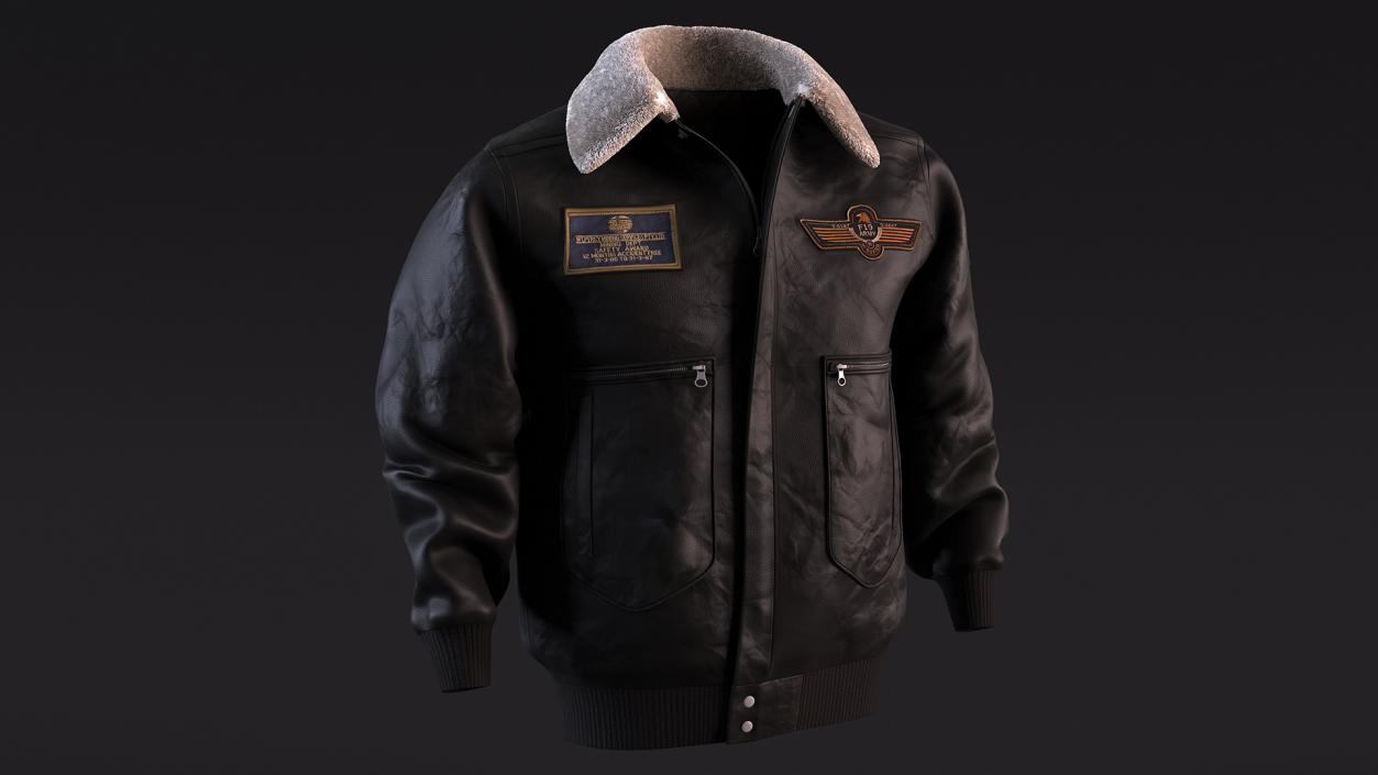 Aviator Jacket Black Fur 3D model