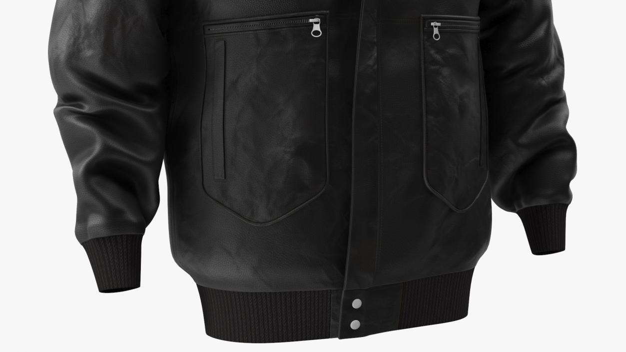 Aviator Jacket Black Fur 3D model