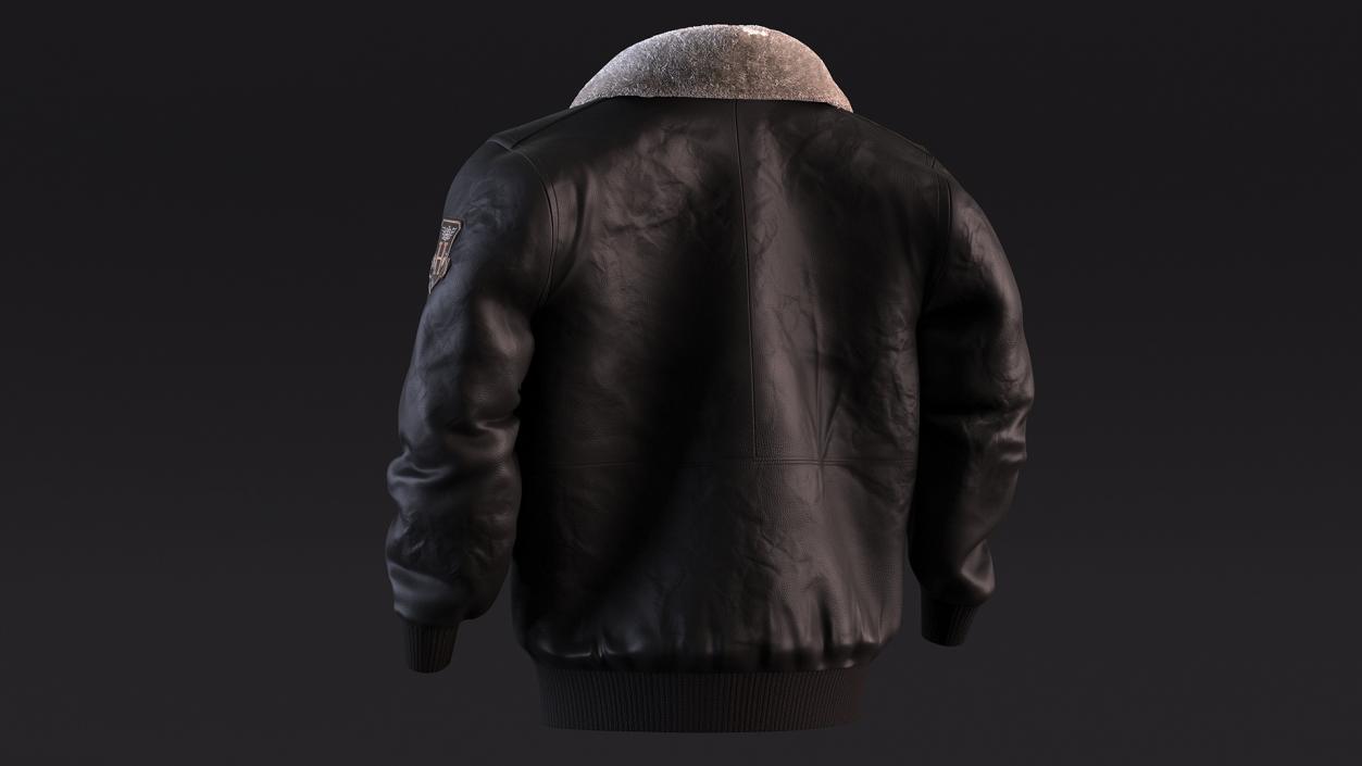 Aviator Jacket Black Fur 3D model