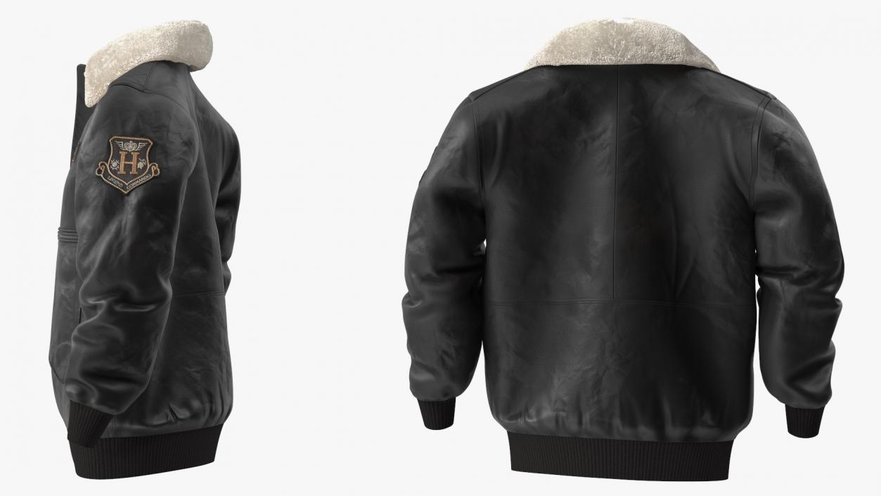 Aviator Jacket Black Fur 3D model