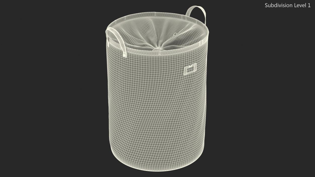 3D Laundry Basket with Lid Gray model