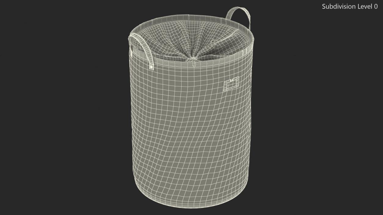 3D Laundry Basket with Lid Gray model