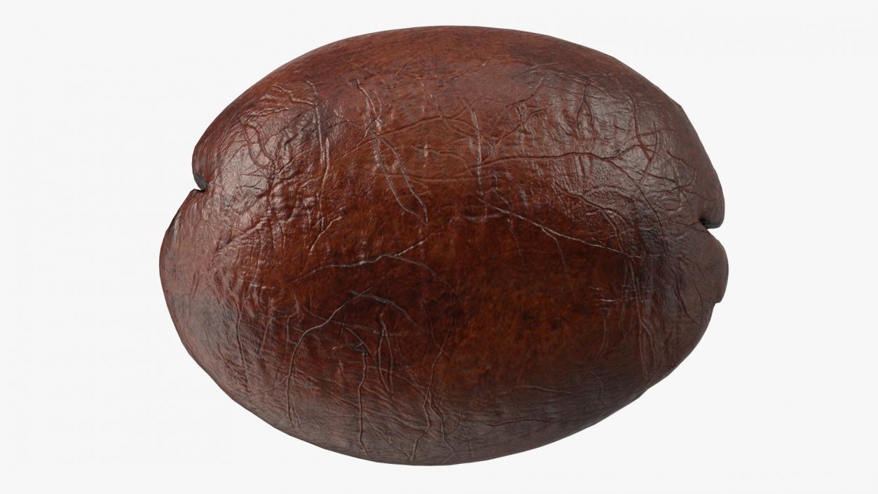 Medium Roast Coffee Bean 3D model