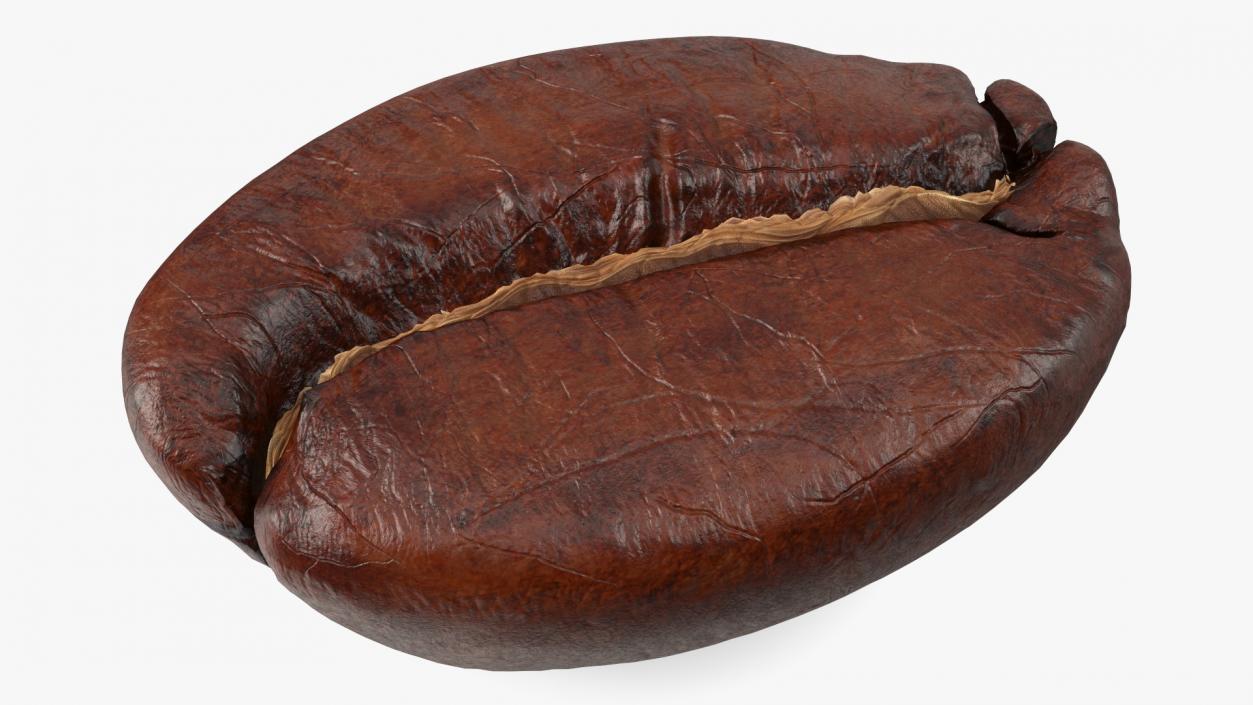 Medium Roast Coffee Bean 3D model