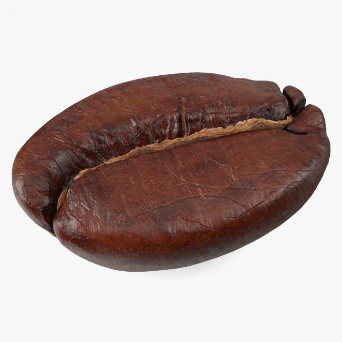 Medium Roast Coffee Bean 3D model