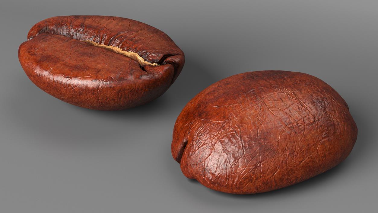 Medium Roast Coffee Bean 3D model