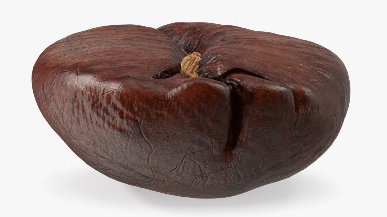 Medium Roast Coffee Bean 3D model