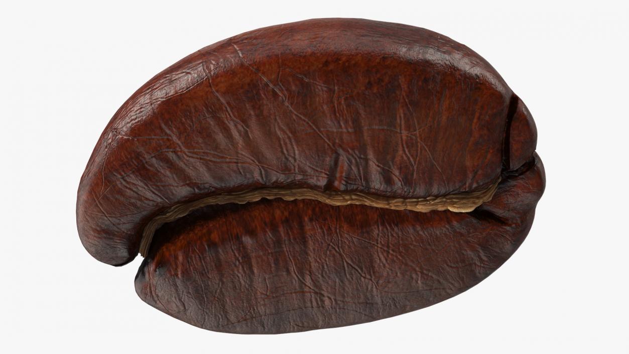 Medium Roast Coffee Bean 3D model