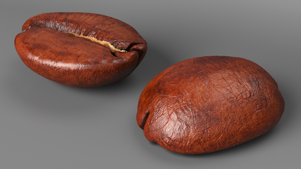 Medium Roast Coffee Bean 3D model