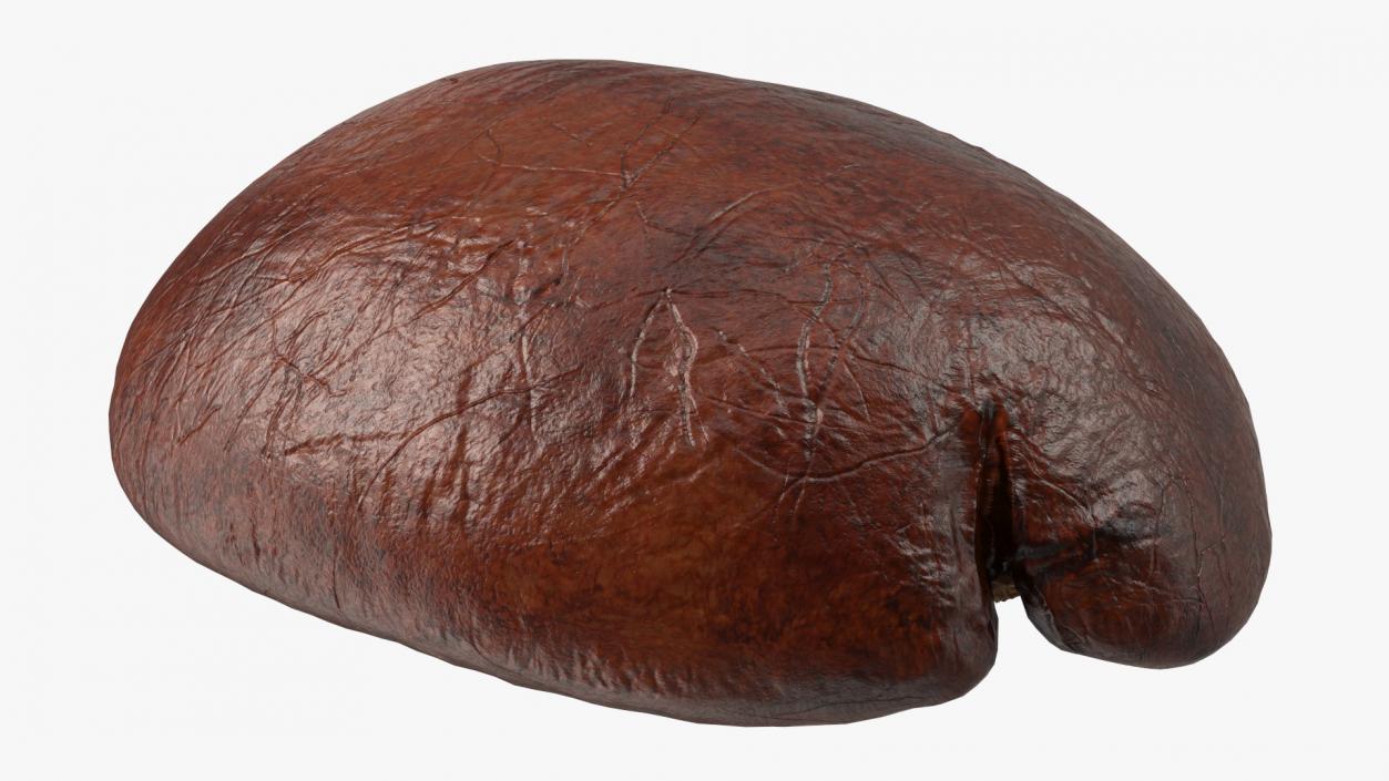 Medium Roast Coffee Bean 3D model