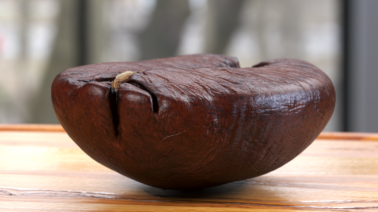 Medium Roast Coffee Bean 3D model