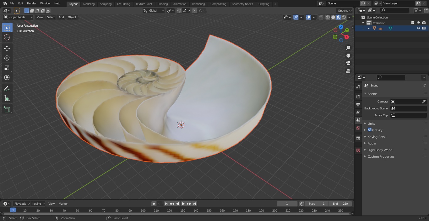 3D model Nautilus Shell Slice