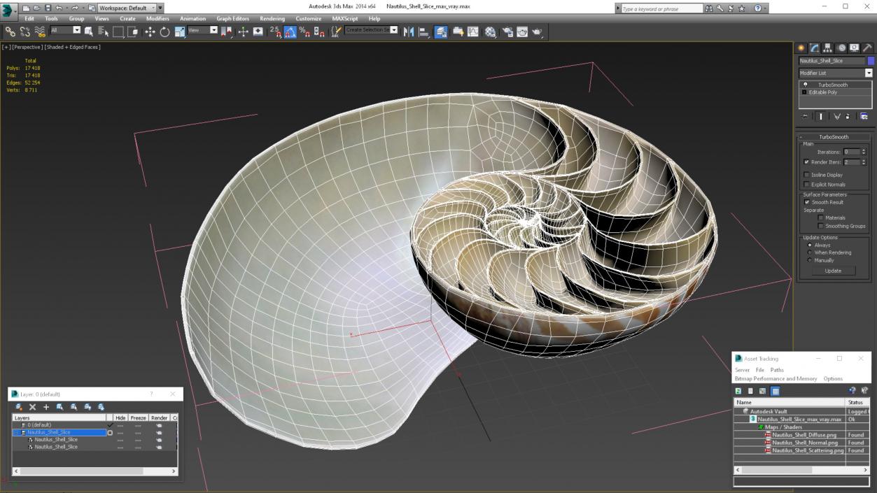 3D model Nautilus Shell Slice