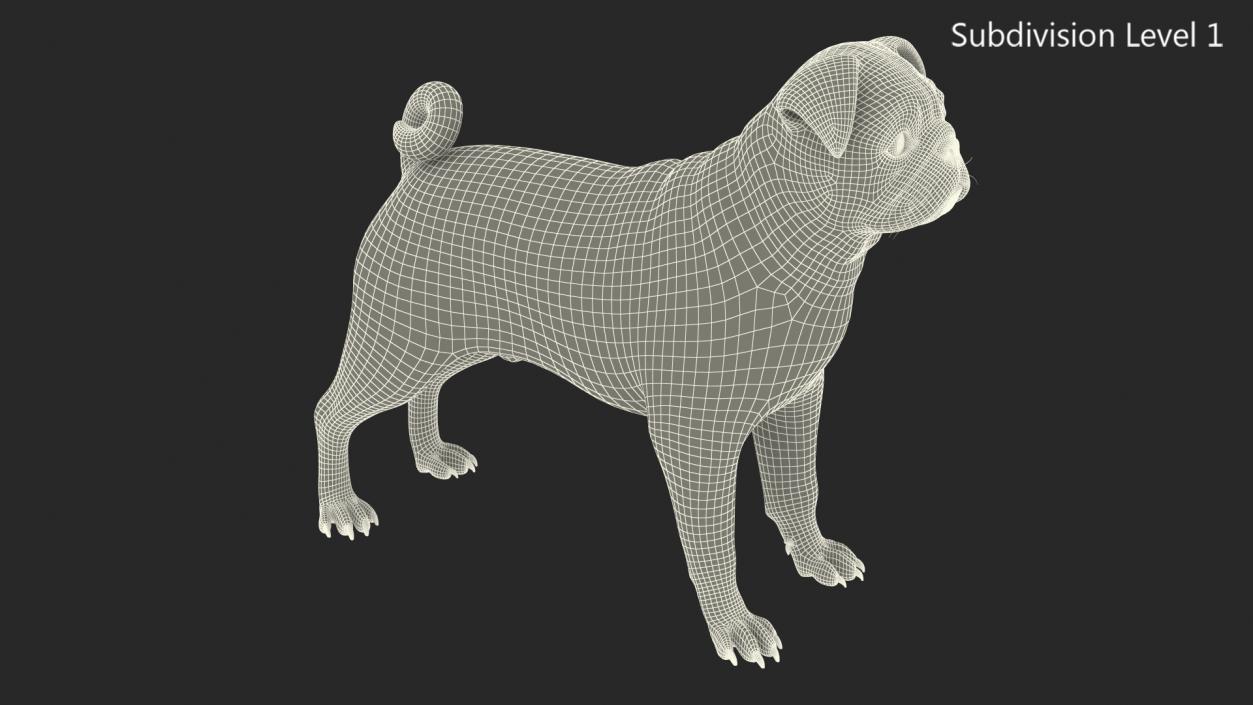 3D model Pug Dog Neutral Pose