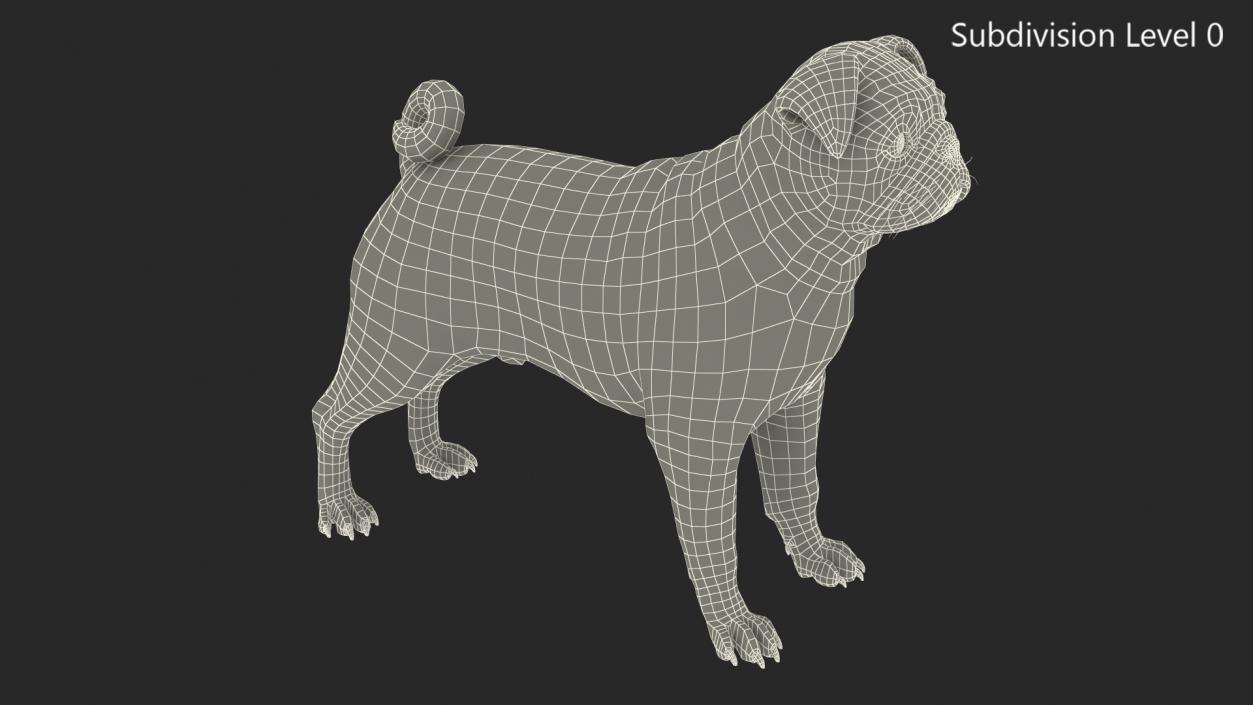 3D model Pug Dog Neutral Pose