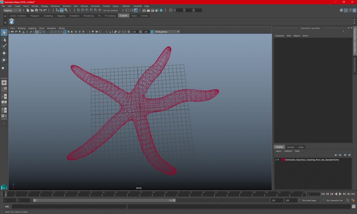 3D Tan Starfish Crawling Pose