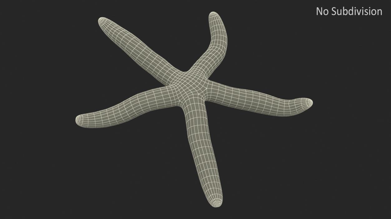 3D Tan Starfish Crawling Pose