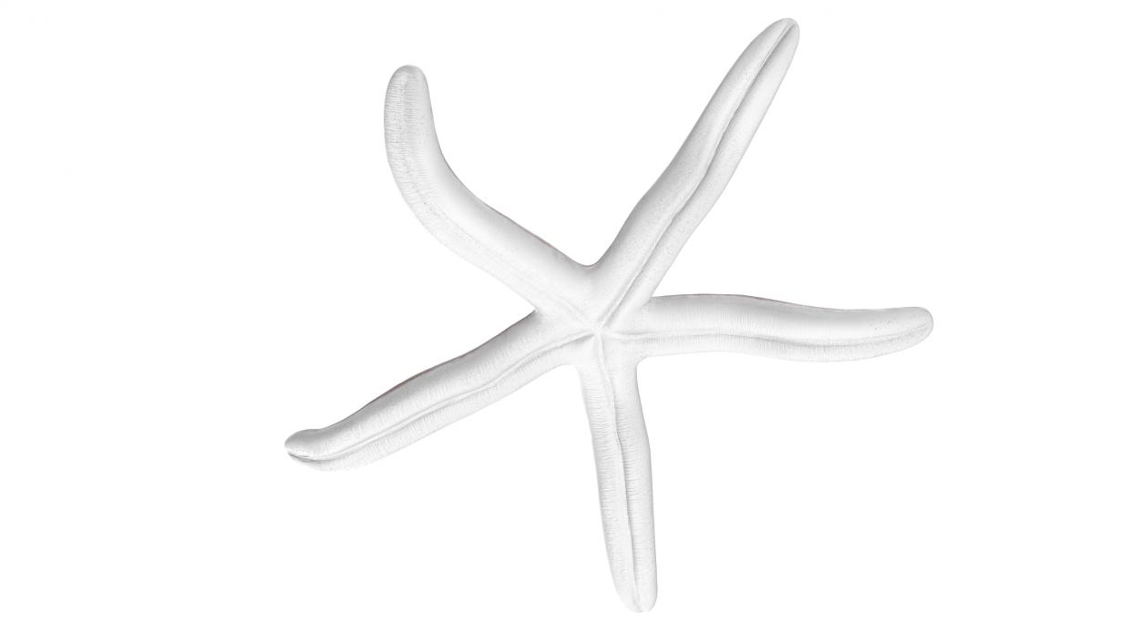 3D Tan Starfish Crawling Pose