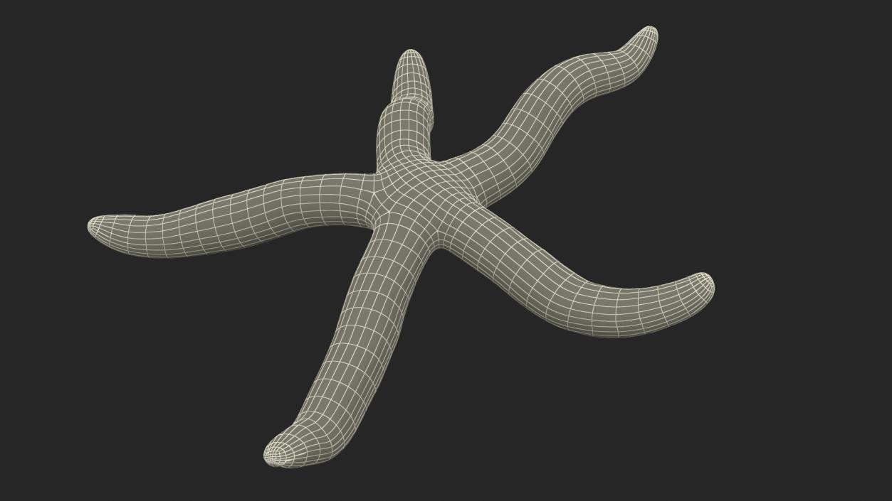 3D Tan Starfish Crawling Pose