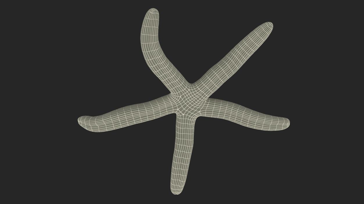 3D Tan Starfish Crawling Pose