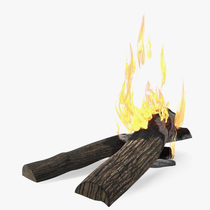 3D Burning Wooden Logs 2