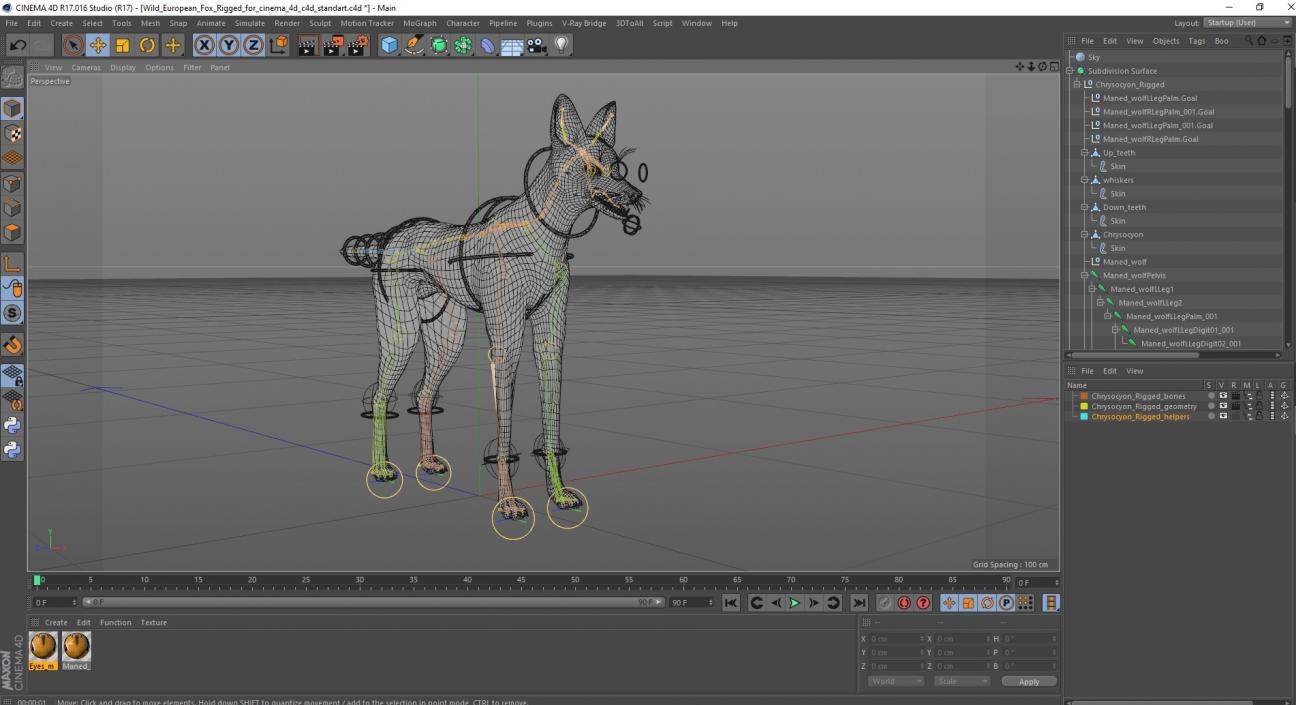 3D Chrysocyon Rigged for Cinema 4D