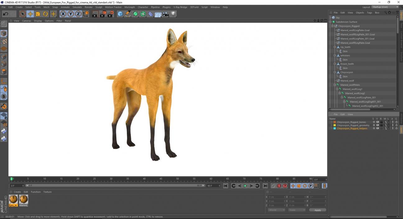 3D Chrysocyon Rigged for Cinema 4D