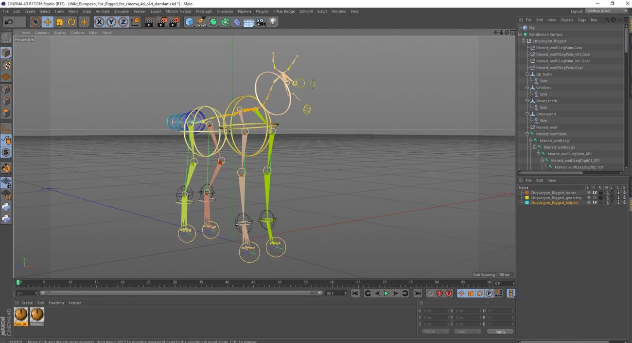 3D Chrysocyon Rigged for Cinema 4D