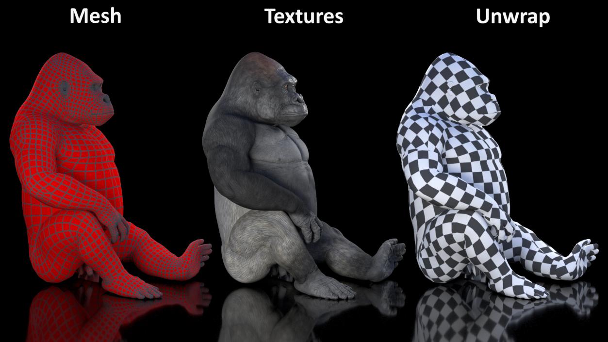 3D Gorilla Western Lowland Sitting Pose