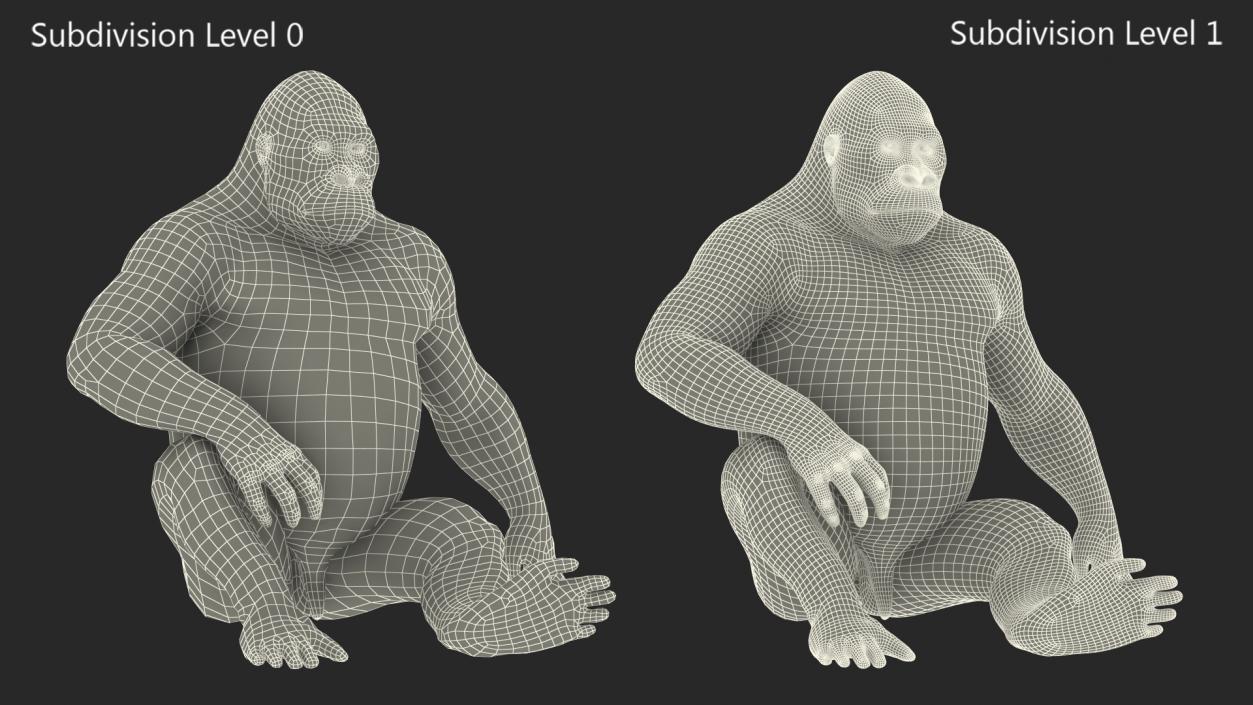 3D Gorilla Western Lowland Sitting Pose