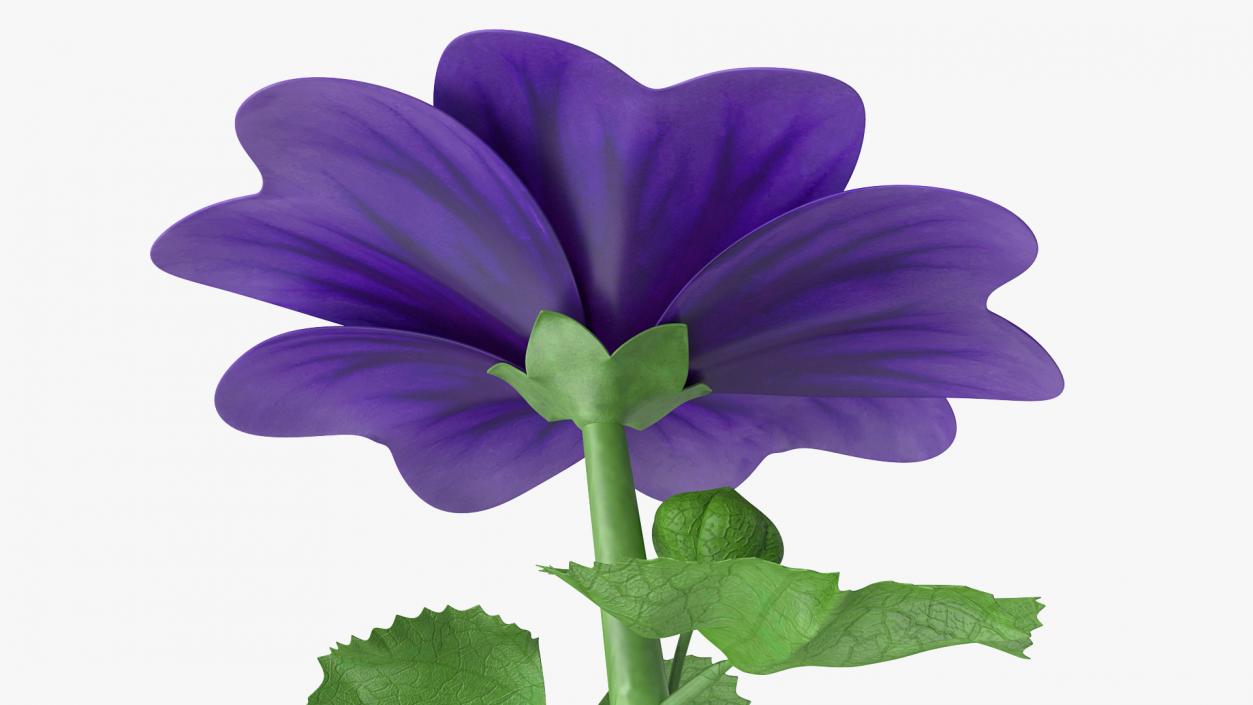 3D Malva Sylvestris Flower model