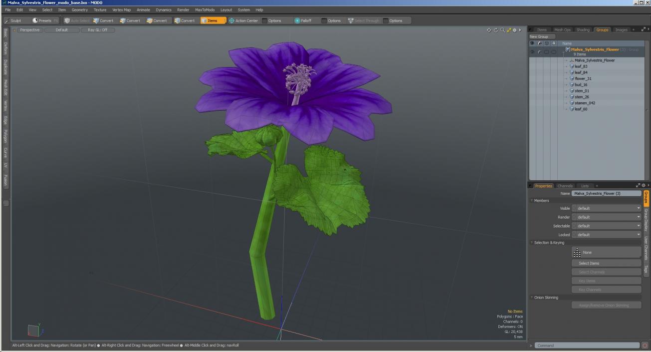 3D Malva Sylvestris Flower model