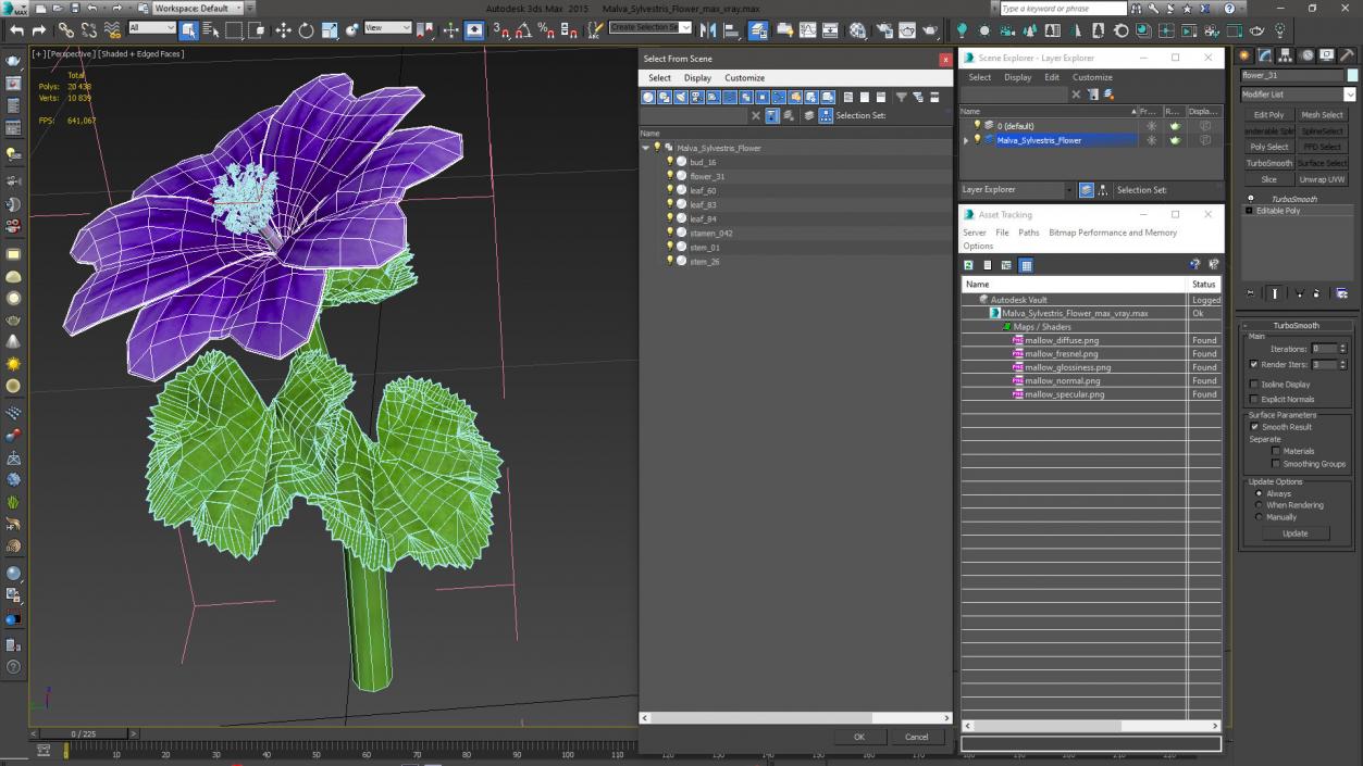 3D Malva Sylvestris Flower model