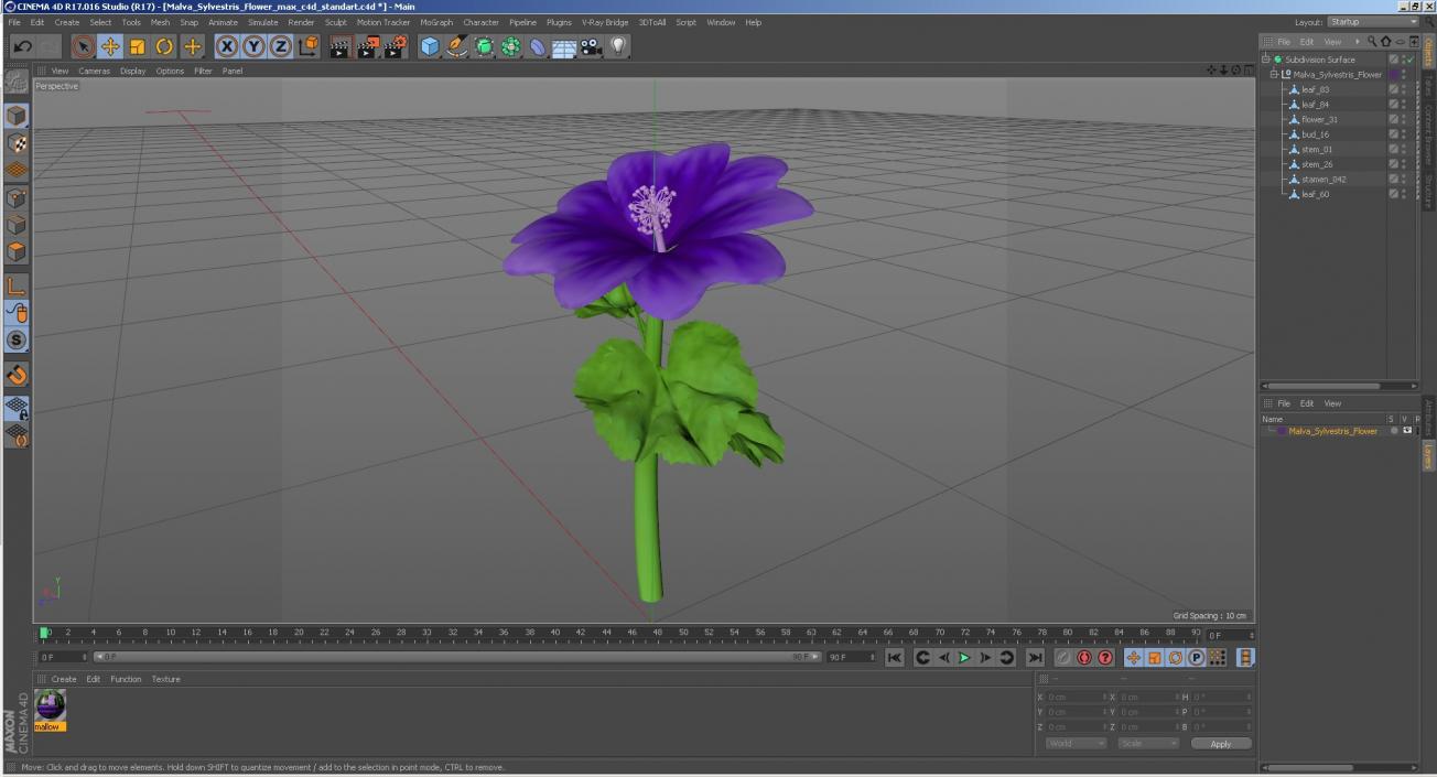 3D Malva Sylvestris Flower model