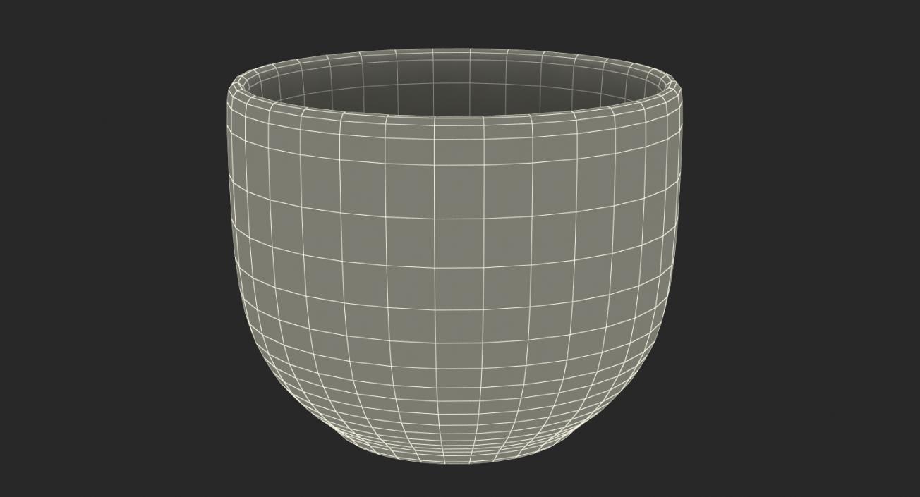 Japanese Cup 3D