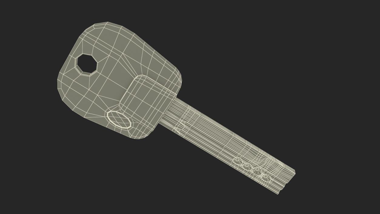 Car Punched Key 2 3D