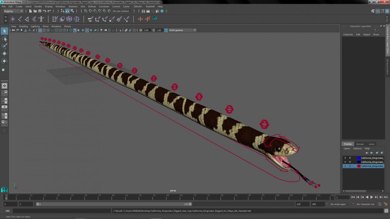 3D California Kingsnake Rigged for Maya