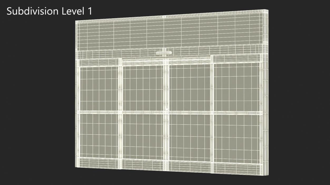 Retail Sliding Door System with Aluminium Framing 3D model