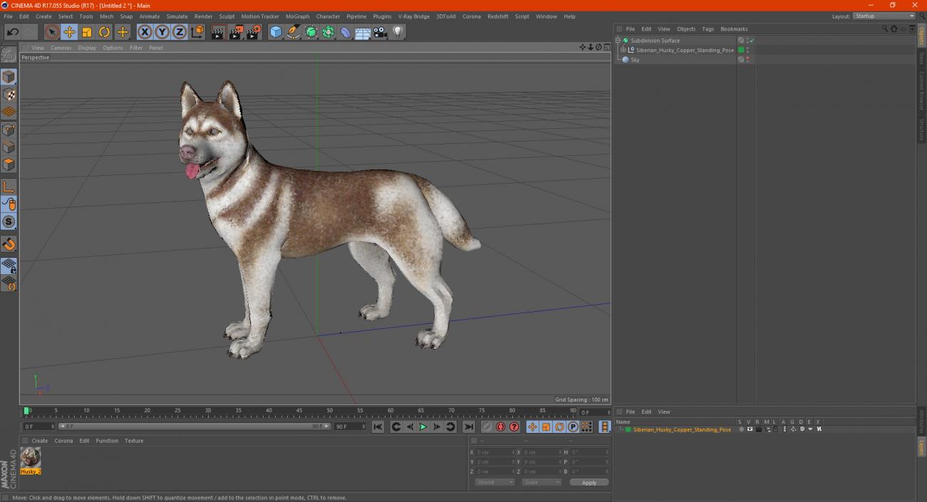 3D model Siberian Husky Copper Standing Pose