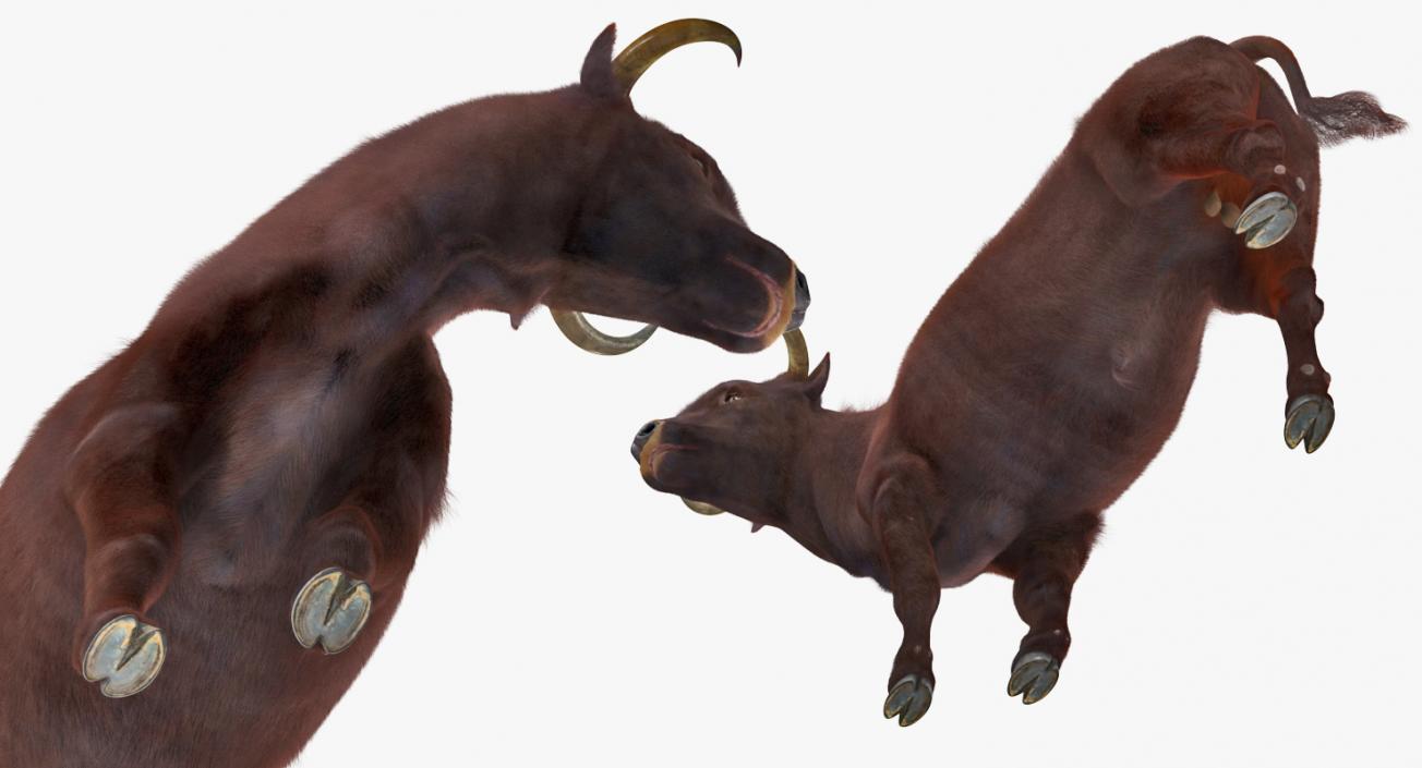 Bull Standing Pose with Fur 3D