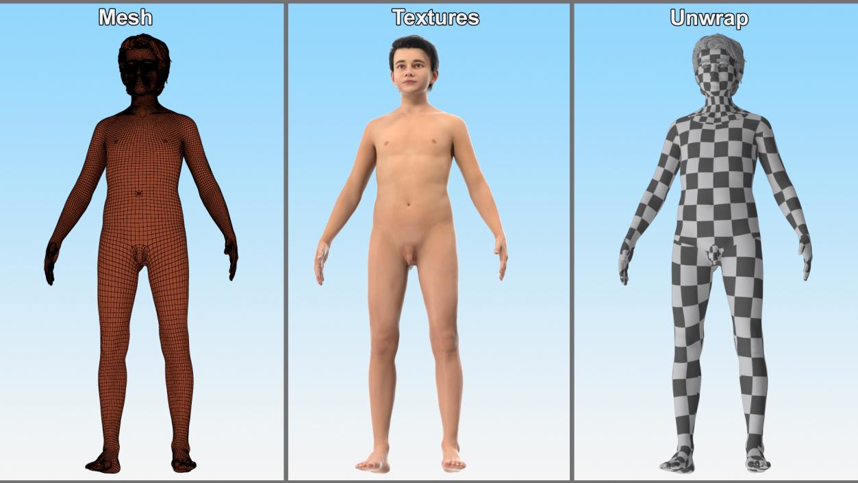 3D model Naked Young Boy Anatomy Figure