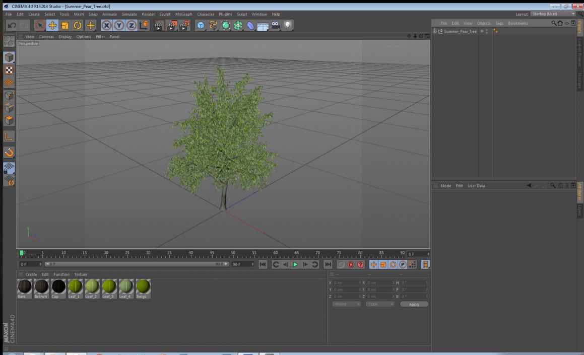 3D Summer Pear Tree