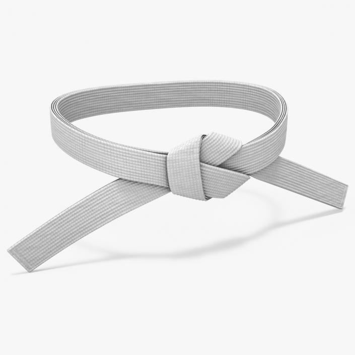 Martial Arts Waist Belt White 3D model