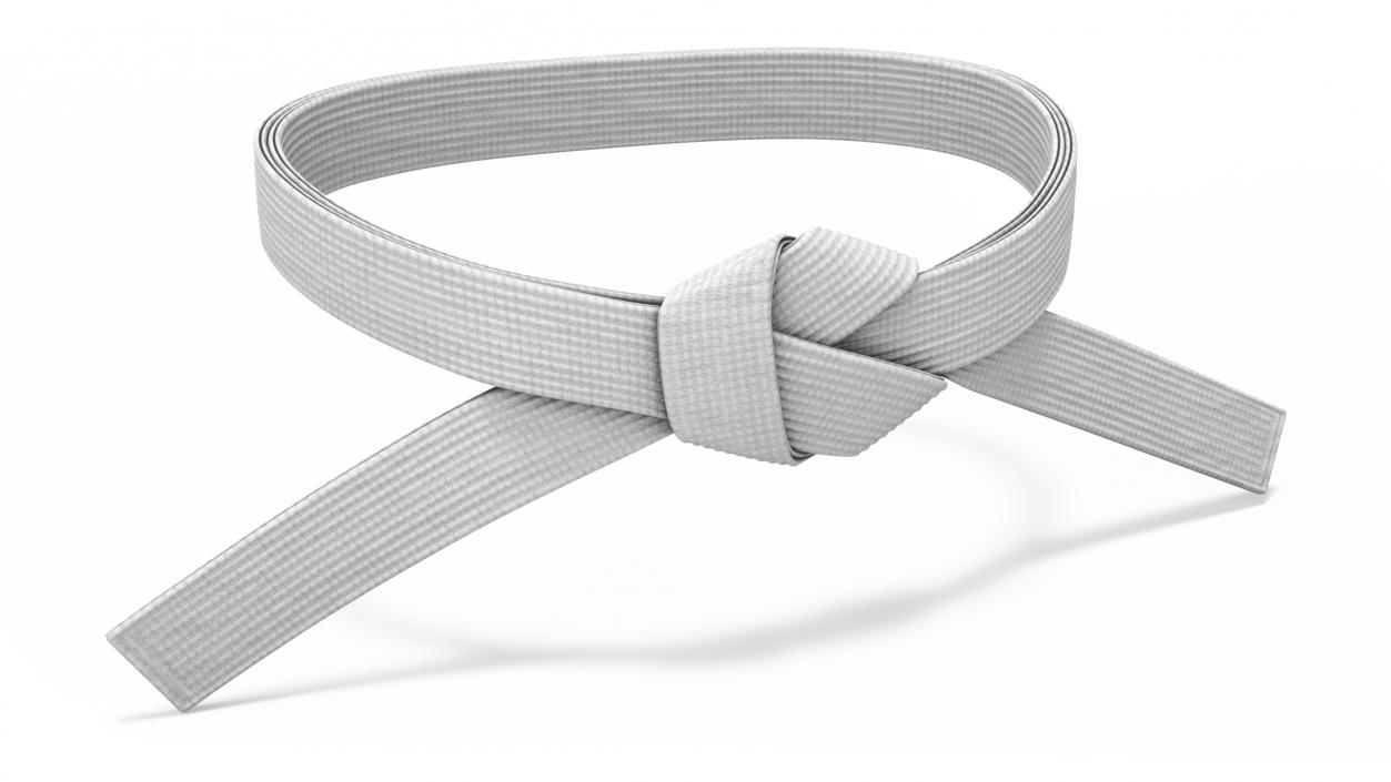 Martial Arts Waist Belt White 3D model