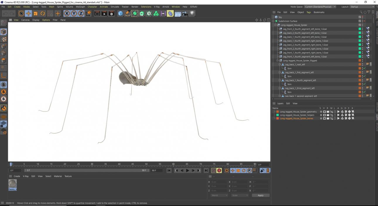 Long-legged House Spider Rigged for Cinema 4D 2 3D