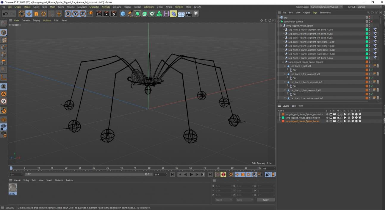 Long-legged House Spider Rigged for Cinema 4D 2 3D